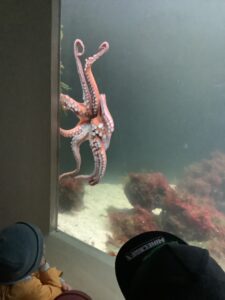 IMG_0119