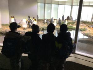 IMG_0127
